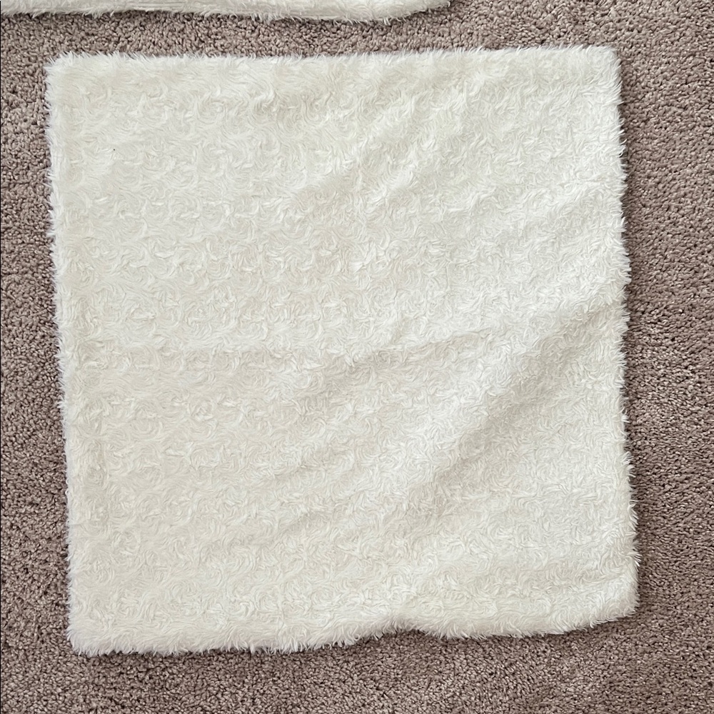 Decorative pillow covers (4)